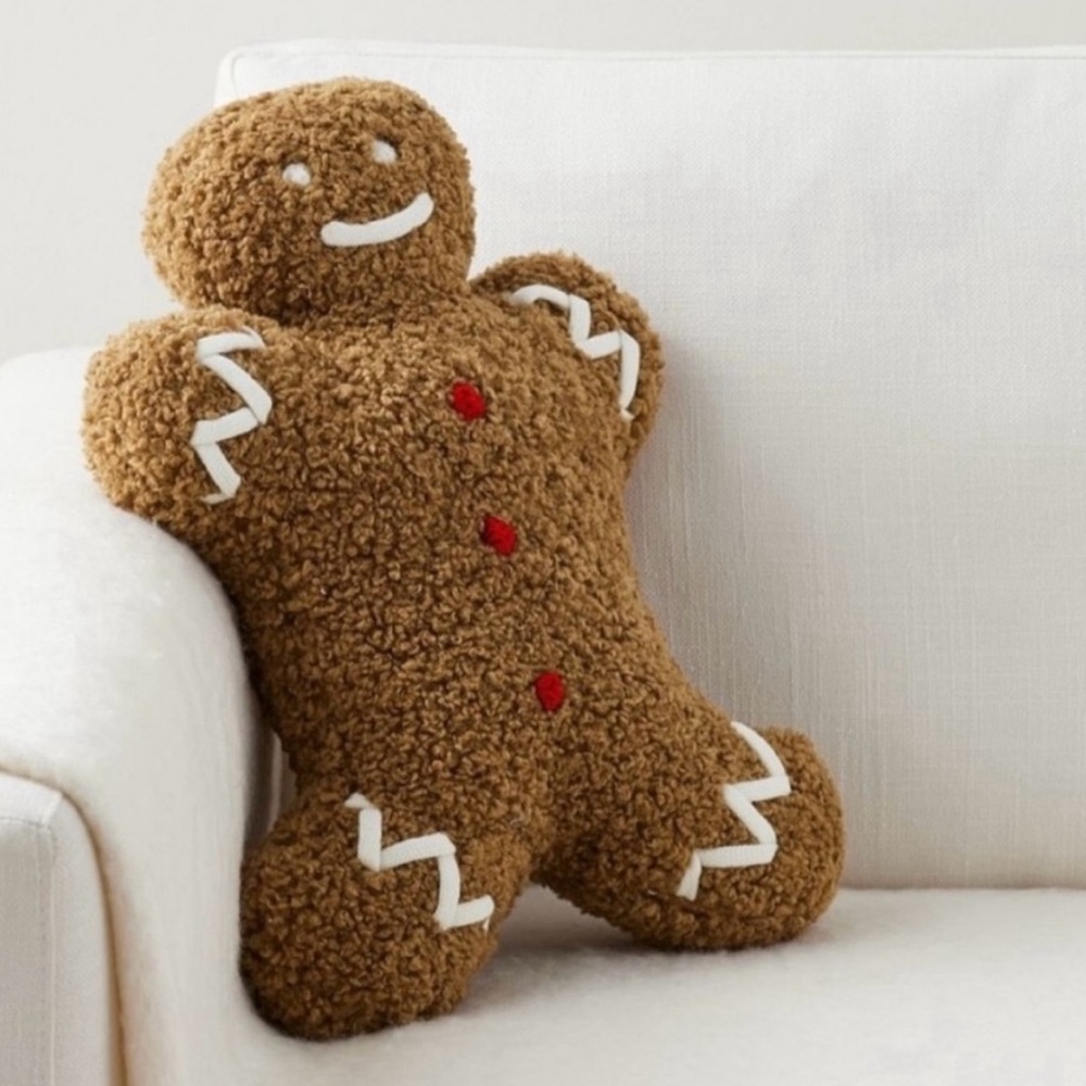 NWT Pottery Barn Mr Spice Gingerbread pillow Christmas XMas